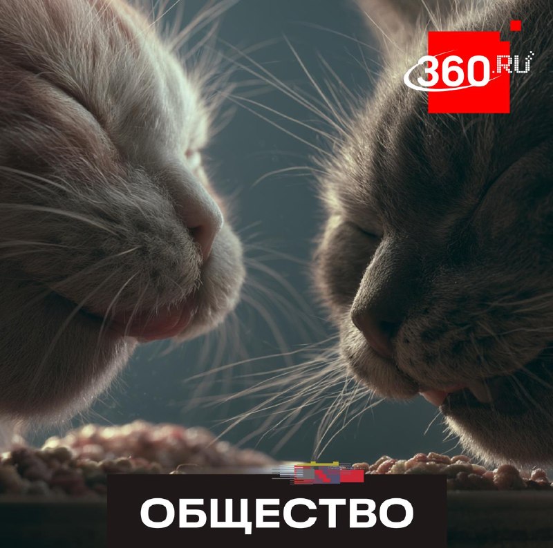 Подмосковье — лидер по экспорту кормов для животных: 18 тыс. тонн за полгода