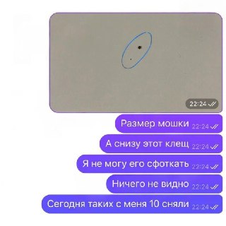 Иллюстрация 3