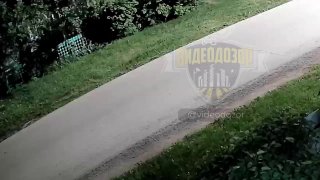 В Оренбуржье обнаружили странные следы на асфальте