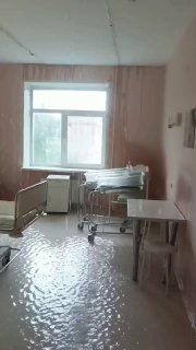 Иллюстрация 1