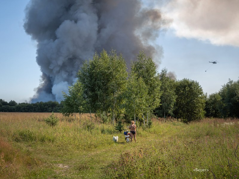 Иллюстрация 3