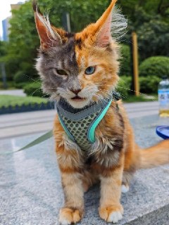 Иллюстрация 5