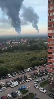 Иллюстрация 9