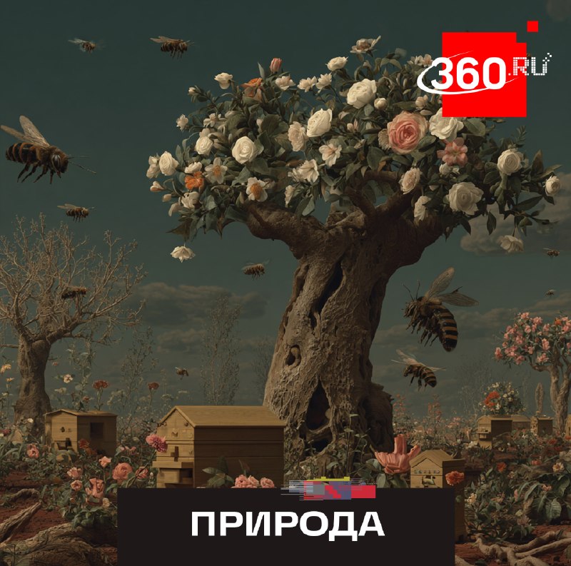 Что будет с Землей без насекомых?