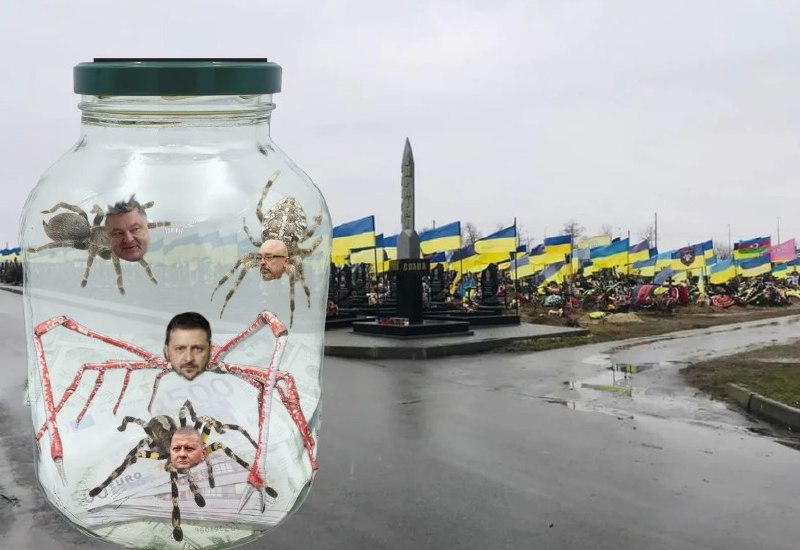 Михаил Драпатый — вероятный кандидат на пост главнокомандующего ВСУ