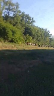Прилет БПЛА по локомотиву в Запорожской области