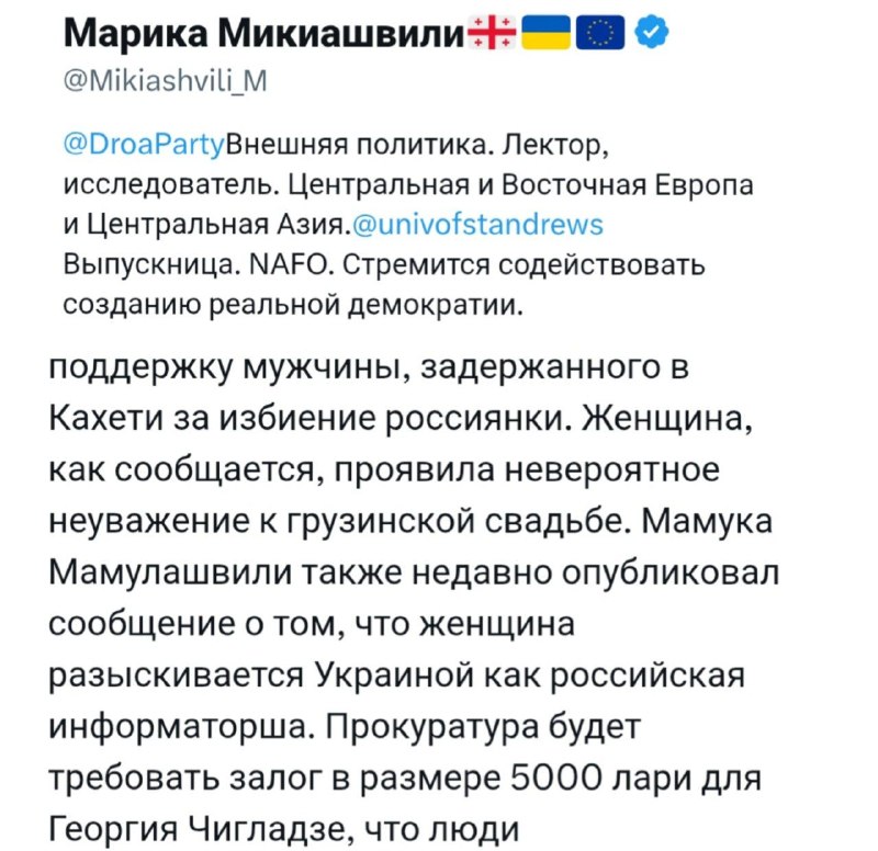 В Тбилиси проевропейские НКО провели митинг за право бить приезжих женщин