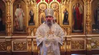 Иллюстрация 1