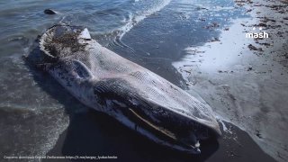 Иллюстрация 1