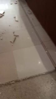 Иллюстрация 1