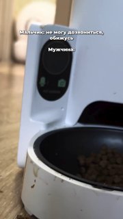 Иллюстрация 1