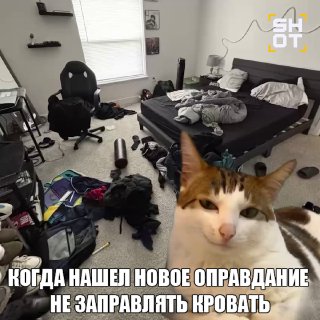 Иллюстрация 1