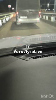 Иллюстрация 2