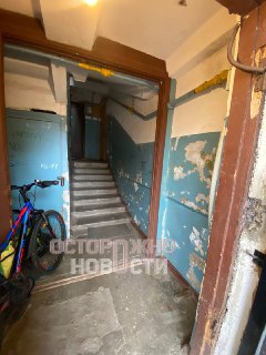 Иллюстрация 1