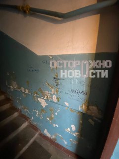 Иллюстрация 2