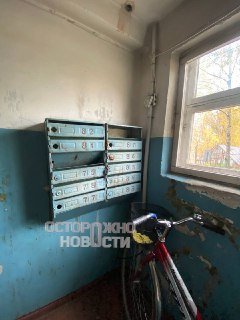 Иллюстрация 4