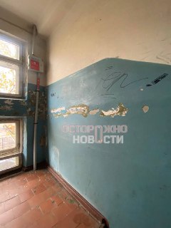 Иллюстрация 5