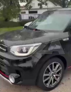 Иллюстрация 1