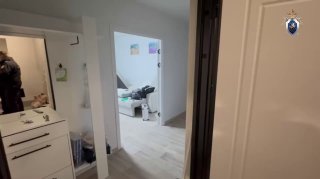 Иллюстрация 1