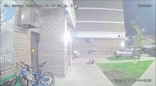 Иллюстрация 1