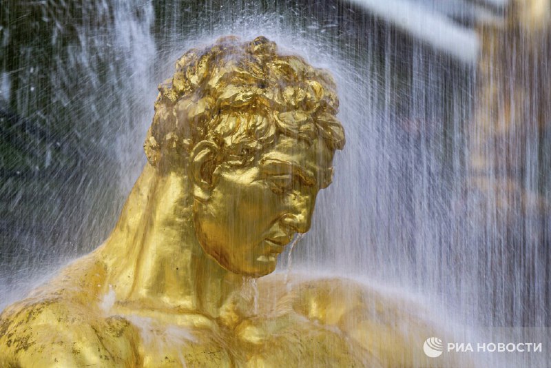 Иллюстрация 1