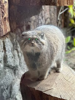 Иллюстрация 2