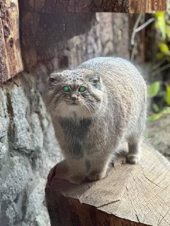 Иллюстрация 2