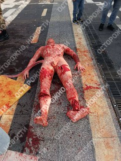 Иллюстрация 1