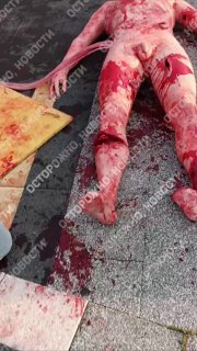 Иллюстрация 3