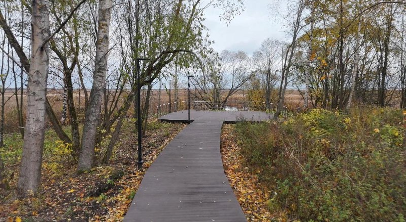 Иллюстрация 3