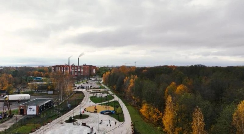 Иллюстрация 5