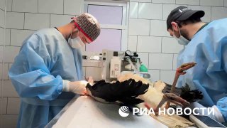 Иллюстрация 1