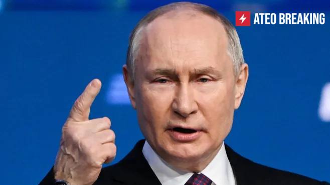 Иллюстрация 1