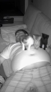 Иллюстрация 1