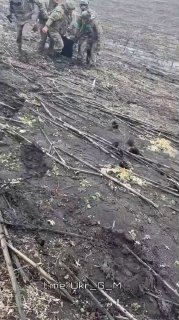 Сообщения о потерях ВСУ на фронте