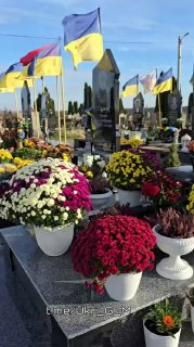 Иллюстрация 2