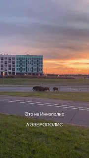 Замечен отряд ГУР МО Украины в Татарстане