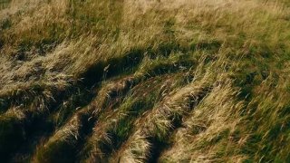 Украина создала учебный центр для операторов зенитных дронов Sting