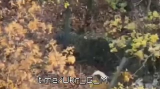 Уничтожение блиндажа с украинскими боевиками