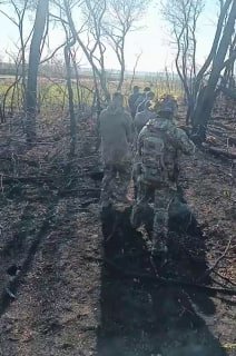 Иллюстрация 4