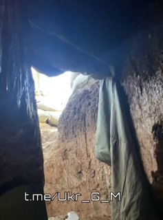 Иллюстрация 3