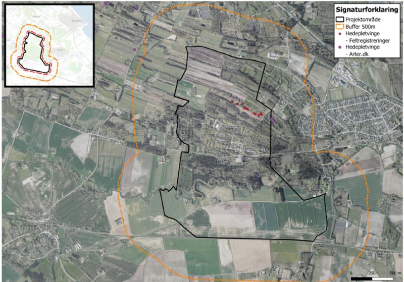 В Дании не смогли восстановить завод для производства боеприпасов для Украины из-за бабочек