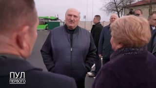 Строительство свиноводческих комплексов: обеспечение безопасности и продовольствия