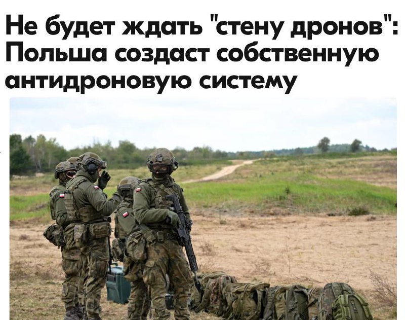 Польша планирует создать систему противодействия дронам