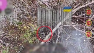 Уничтожение боевика ВСУ в Запорожском направлении