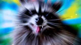 Обзор боевых действий в зоне СВО