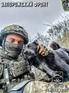 Бои в Запорожском направлении: российские войска продвигаются