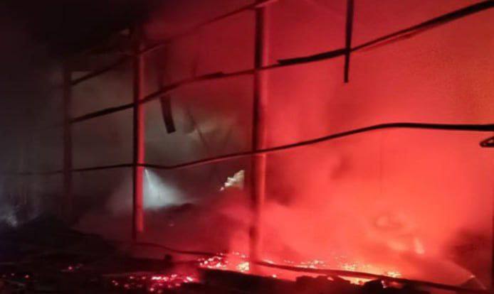 Иллюстрация 7