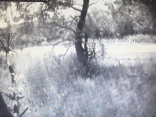 Иллюстрация 1