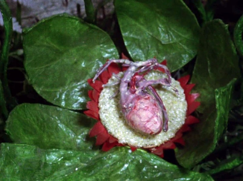 Иллюстрация 2